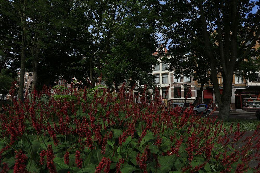 Готель Frederik Park House Амстердам Екстер'єр фото